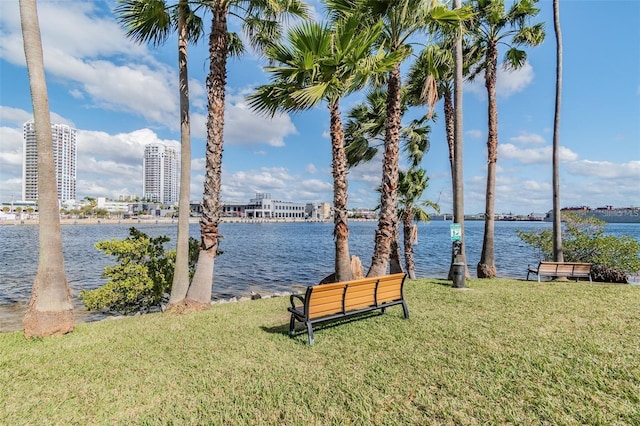 716 Promenade Pl, Tampa, FL 33602 - photo 11