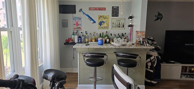 indoor dry bar featuring wood finished floors and baseboards