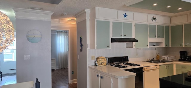 kitchen featuring dishwasher, under cabinet range hood, a sink, backsplash, and light countertops