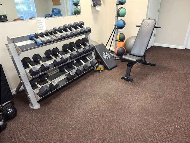 19420 Haskell Pl, Land O Lakes, FL 34638 - exercise room with baseboards