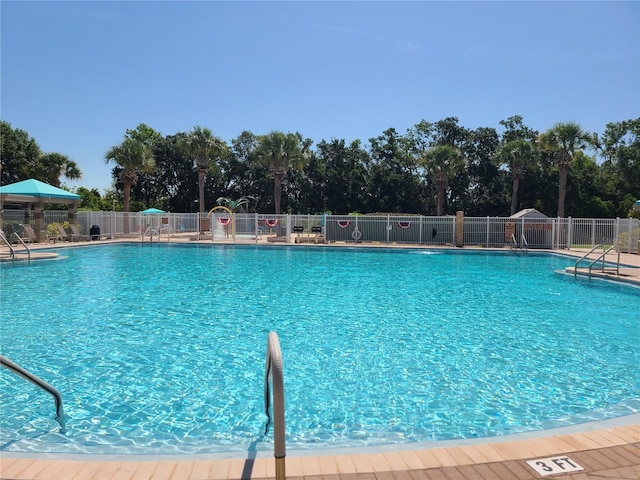 19420 Haskell Pl, Land O Lakes, FL 34638 - view of community pool