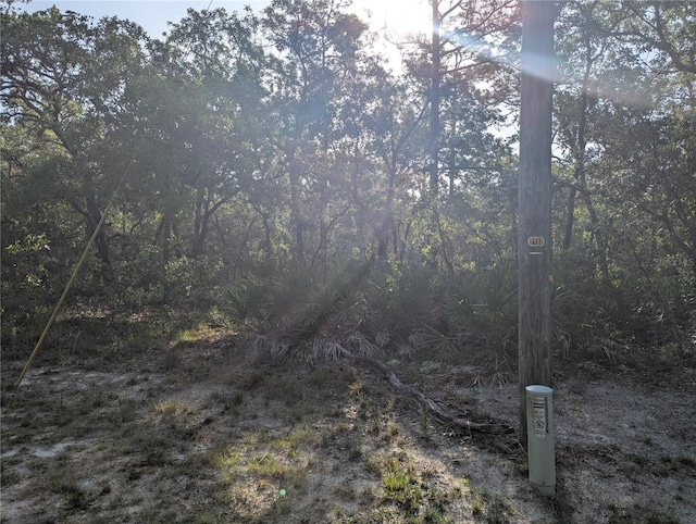 19036 Retriever Rd, Brooksville, FL 34614 - photo 1
