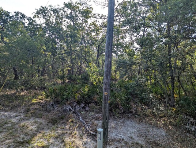 19036 Retriever Rd, Brooksville, FL 34614 - photo 2