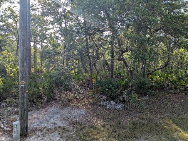 19036 Retriever Rd, Brooksville, FL 34614 - photo 3