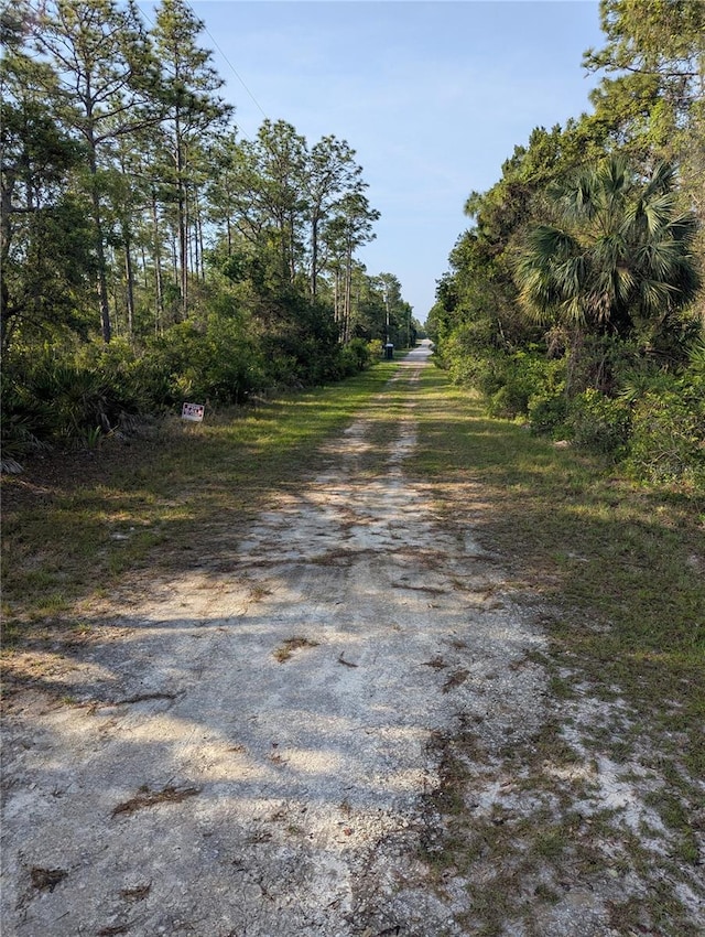 19036 Retriever Rd, Brooksville, FL 34614 - photo 4