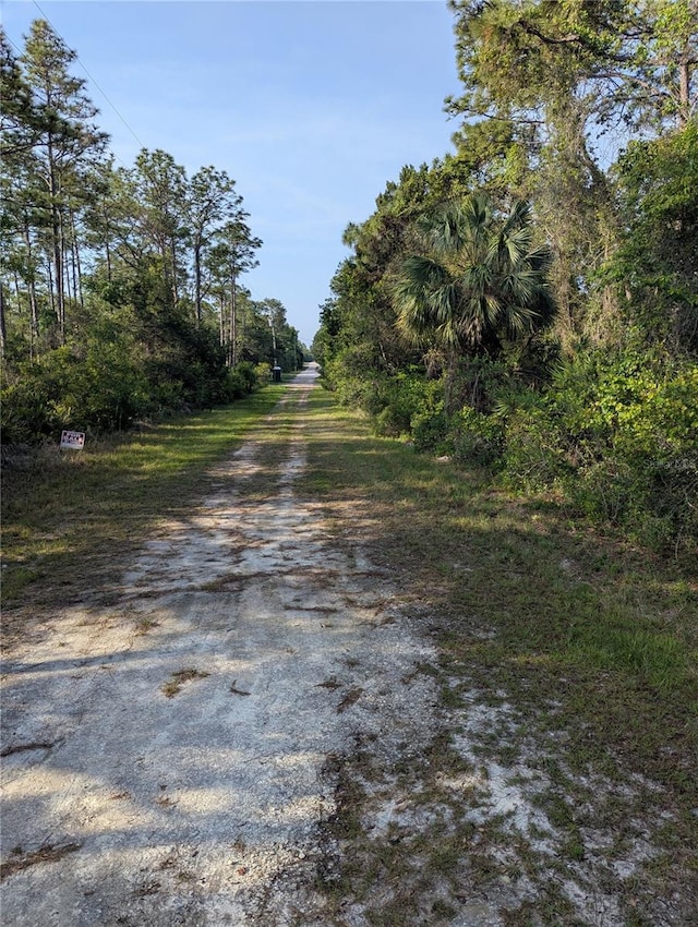 19036 Retriever Rd, Brooksville, FL 34614 - photo 5