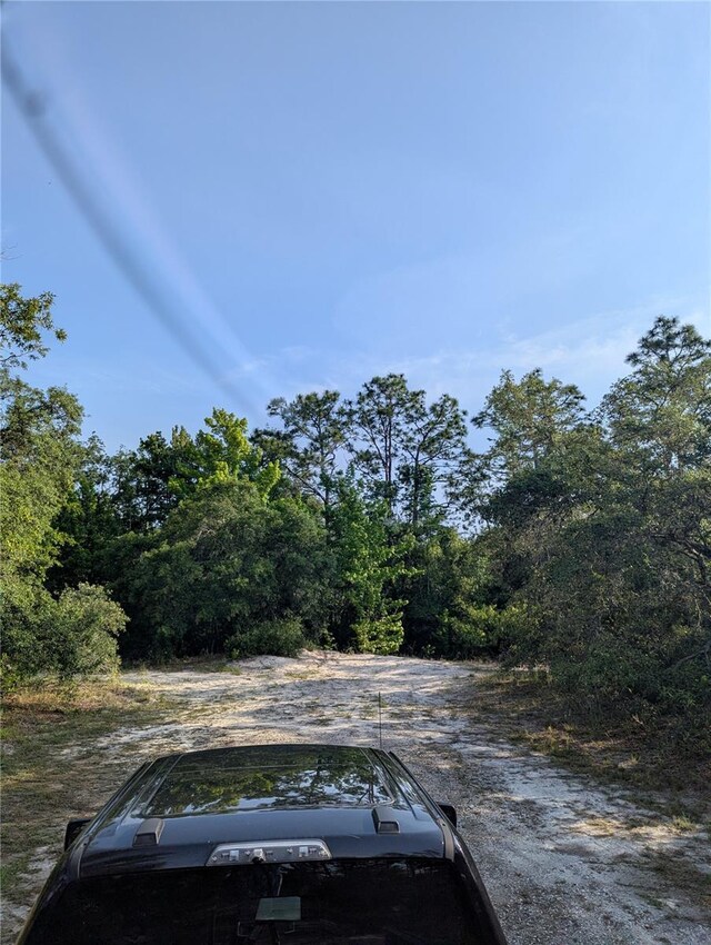 19036 Retriever Rd, Brooksville, FL 34614 - photo 6