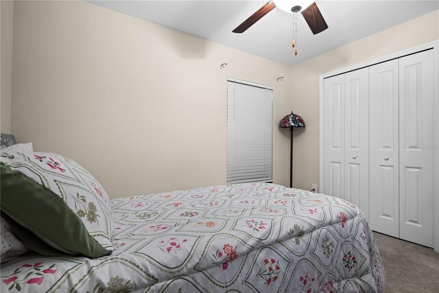 742 8th St NW, Ruskin, FL 33570 - carpeted bedroom with a closet and ceiling fan