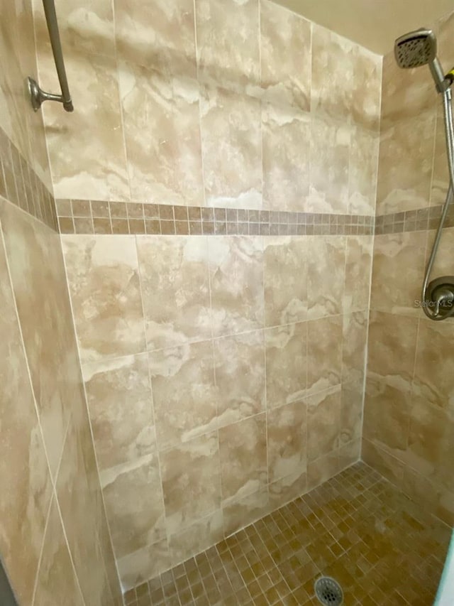 11014 Peking Pl, Tampa, FL 33624 - full bath featuring tiled shower