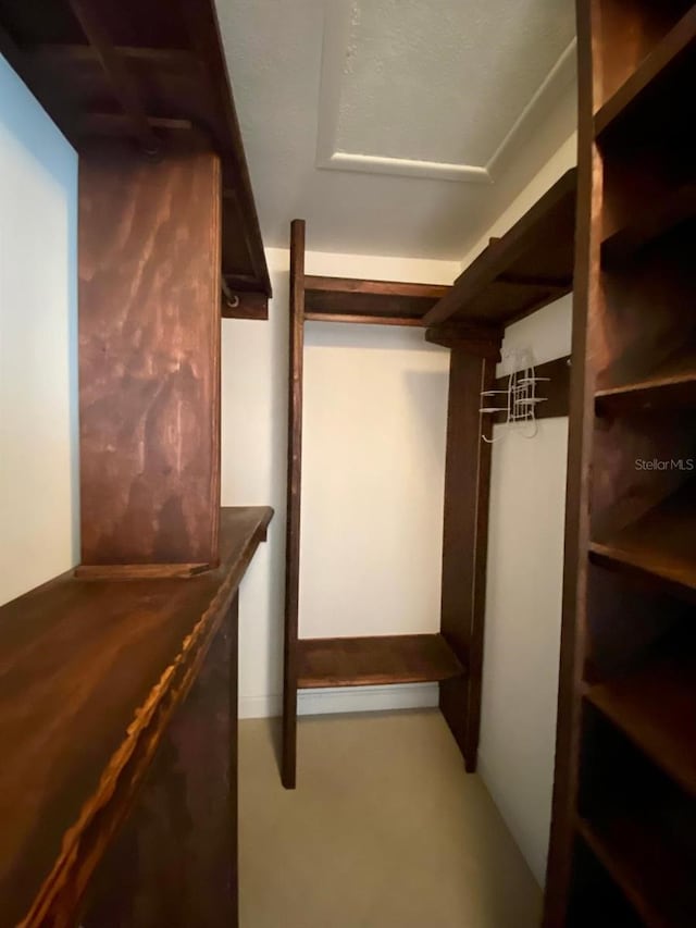 11014 Peking Pl, Tampa, FL 33624 - view of walk in closet