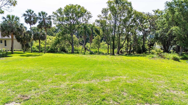 12920 Ventana Ct, Dade City, FL 33523 - photo 2