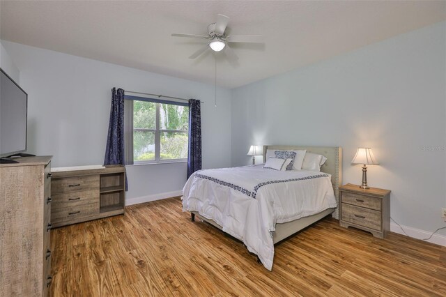 18444 Eastwyck Dr, Tampa, FL 33647 - photo 21