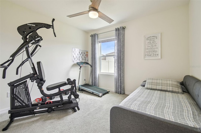 33524 Elm Hill Br, Wesley Chapel, FL 33545 - carpeted bedroom with baseboards and a ceiling fan