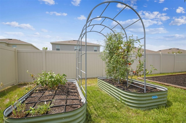 33524 Elm Hill Br, Wesley Chapel, FL 33545 - view of yard featuring a garden and fence