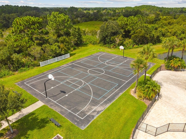 33524 Elm Hill Br, Wesley Chapel, FL 33545 - view of basketball court featuring a wooded view and community basketball court