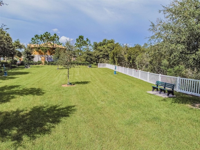 33524 Elm Hill Br, Wesley Chapel, FL 33545 - view of yard