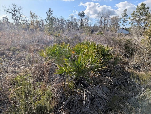 0000 NE 108th Ter, Archer, FL 32618