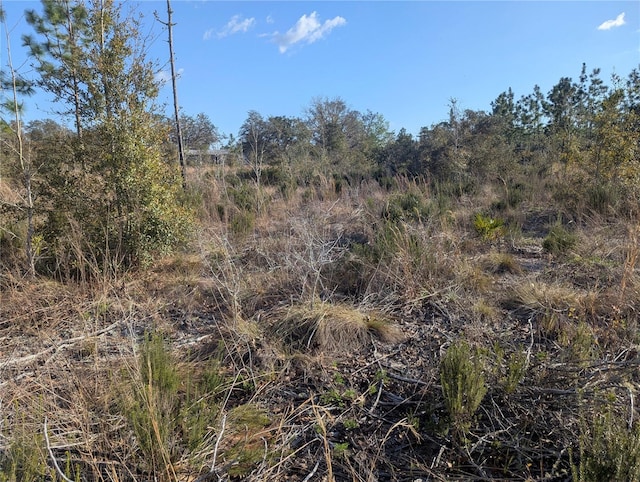 0000 NE 108th Ter, Archer, FL 32618