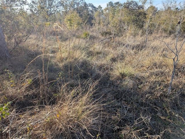 0000 NE 108th Ter, Archer, FL 32618