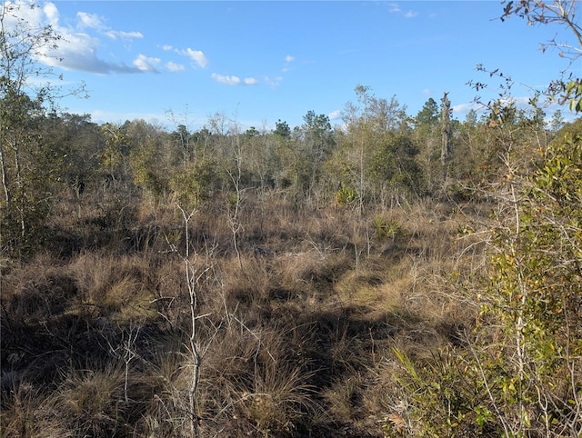 0000 NE 108th Ter, Archer, FL 32618