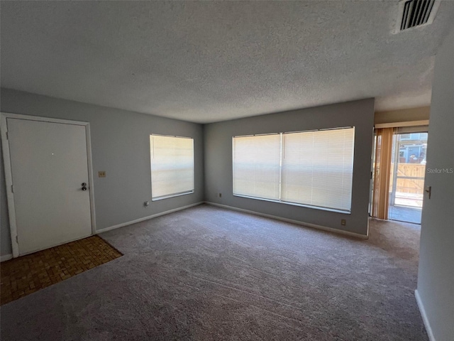14725 Morning Dr, Lutz, FL 33559 - carpeted empty room with plenty of natural light, a textured ceiling, and baseboards