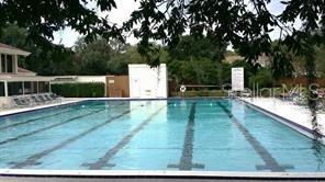 14725 Morning Dr, Lutz, FL 33559 - view of community pool