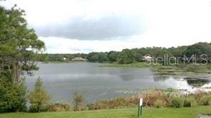 14725 Morning Dr, Lutz, FL 33559 - water view