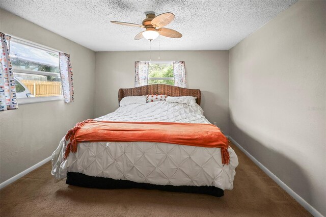 1516 Santa Anna Dr, Dunedin, FL 34698 - photo 23