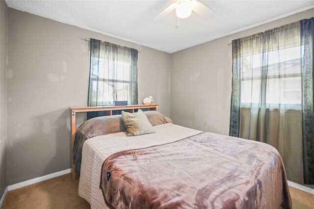 1516 Santa Anna Dr, Dunedin, FL 34698 - photo 25