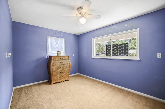1516 Santa Anna Dr, Dunedin, FL 34698 - photo 27