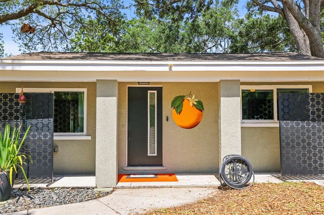 1516 Santa Anna Dr, Dunedin, FL 34698 - photo 40