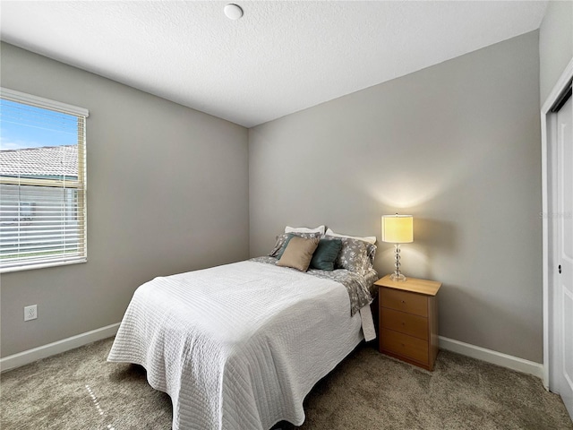 16913 Anchor Root St, Wimauma, FL 33598 - carpeted bedroom with baseboards