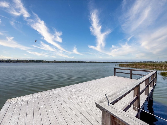 10560 Lake Seminole Ter, Seminole, FL 33772 - photo 5