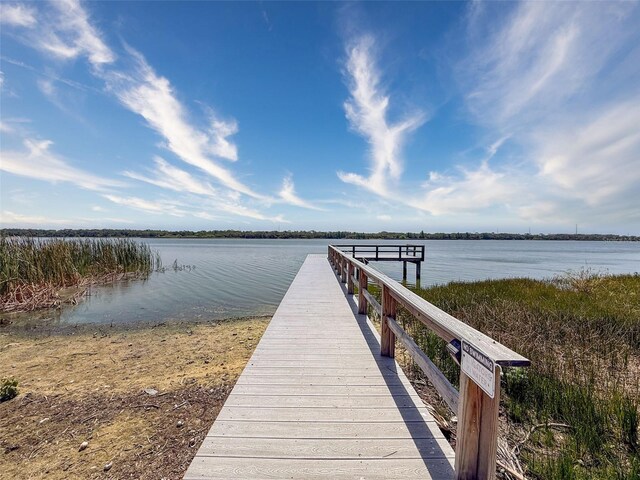10560 Lake Seminole Ter, Seminole, FL 33772 - photo 53