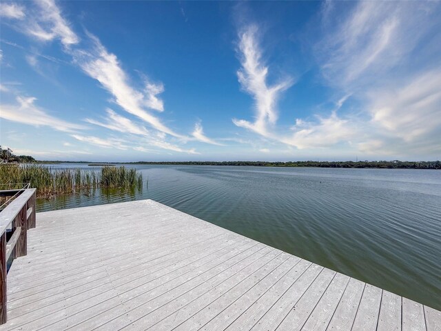 10560 Lake Seminole Ter, Seminole, FL 33772 - photo 59