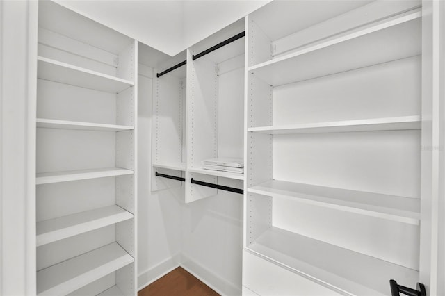 403 E Davis Blvd, Tampa, FL 33606 - view of spacious closet