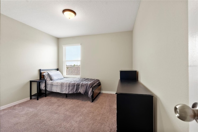 4917 Eagle Rock Dr, Wimauma, FL 33598 - bedroom with light carpet and baseboards