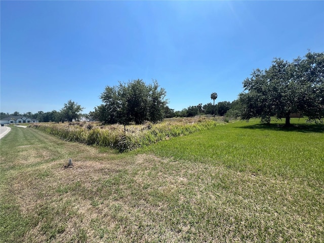 15315 Fishhawk Heights Run, Lithia, FL 33547