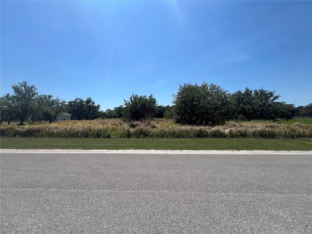 15315 Fishhawk Heights Run, Lithia, FL 33547