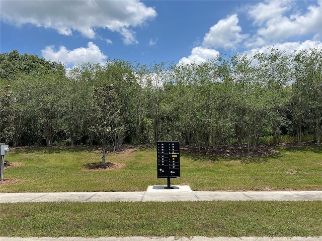 15315 Fishhawk Heights Run, Lithia, FL 33547