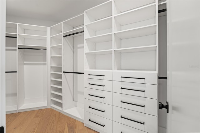2200 N Glenwood Dr, Tampa, FL 33602 - spacious closet with light wood-style floors