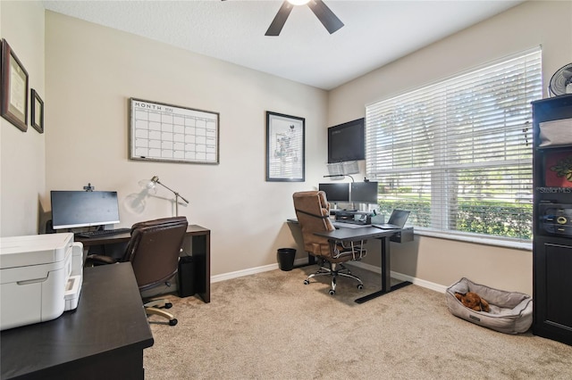 3530 Brook Crossing Dr, Brandon, FL 33511 - office space with carpet floors, ceiling fan, and baseboards