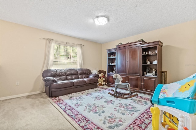 10311 Frog Pond Dr, Riverview, FL 33569 - living room with carpet floors, a textured ceiling, and baseboards
