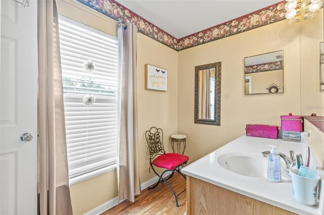 10311 Frog Pond Dr, Riverview, FL 33569 - bathroom featuring wood finished floors, vanity, and baseboards
