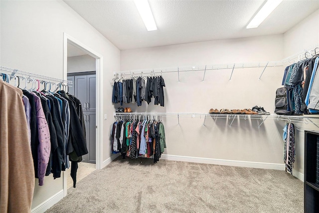 8016 Rock Spring Ct, Land O Lakes, FL 34638 - spacious closet with carpet floors