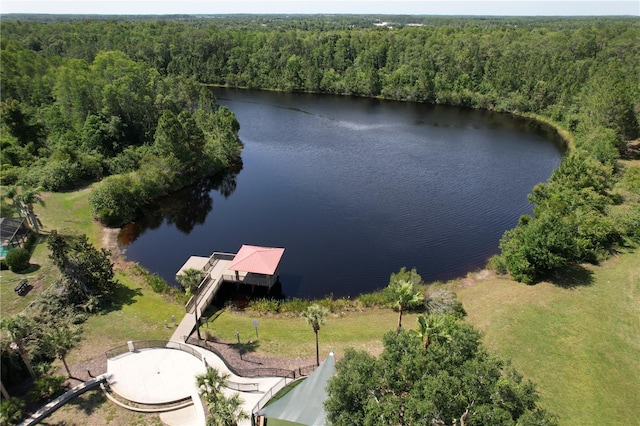 8016 Rock Spring Ct, Land O Lakes, FL 34638 - view of property location with a nearby body of water