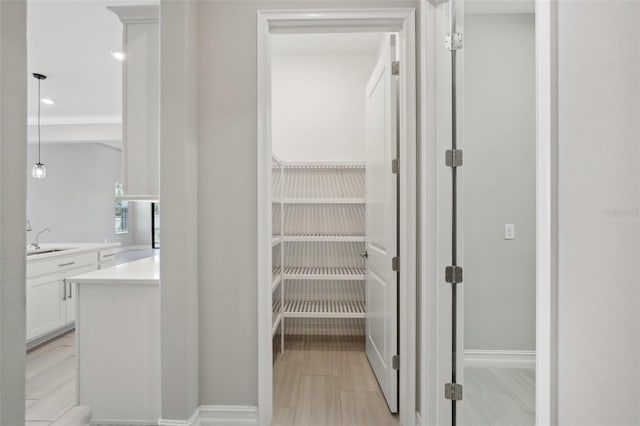 4325 Barletta Ct, Wesley Chapel, FL 33543 - pantry with a sink