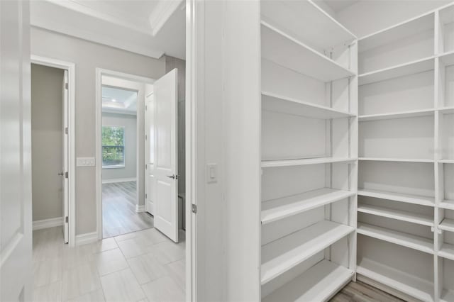 4325 Barletta Ct, Wesley Chapel, FL 33543 - view of pantry