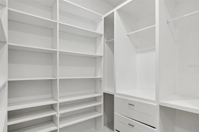 4325 Barletta Ct, Wesley Chapel, FL 33543 - view of spacious closet