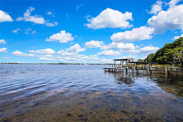 550 George St S, Tarpon Springs, FL 34688 - dock with a water view and boat lift